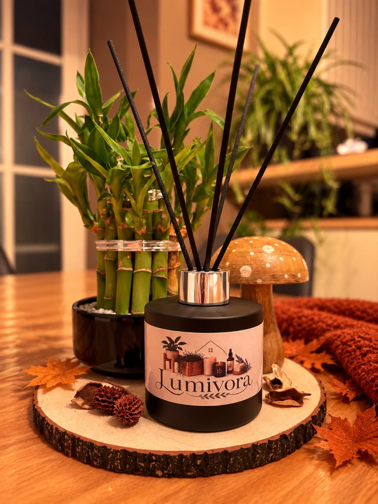 Zwarte matte Lumivora Reed Diffuser met zilveren hals en zwarte geurstokjes, op een houten schijf naast bamboe